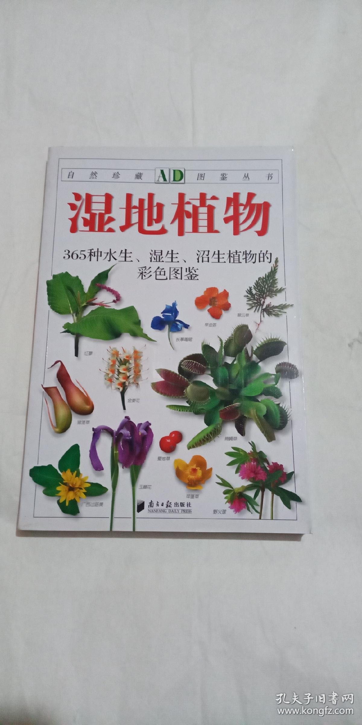 自然珍藏图鉴丛书:湿地植物