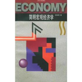 简明宏观经济学