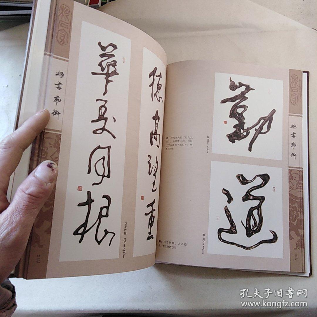 根书艺术——杨玉冰根书法集