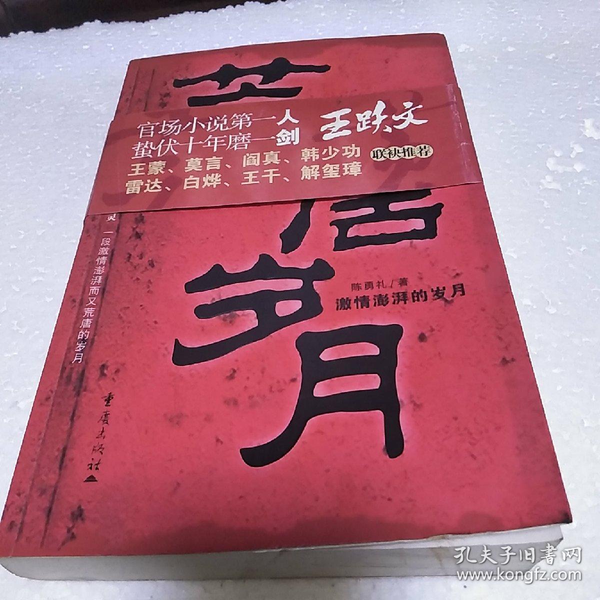 荒唐岁月 激情澎湃的岁月
