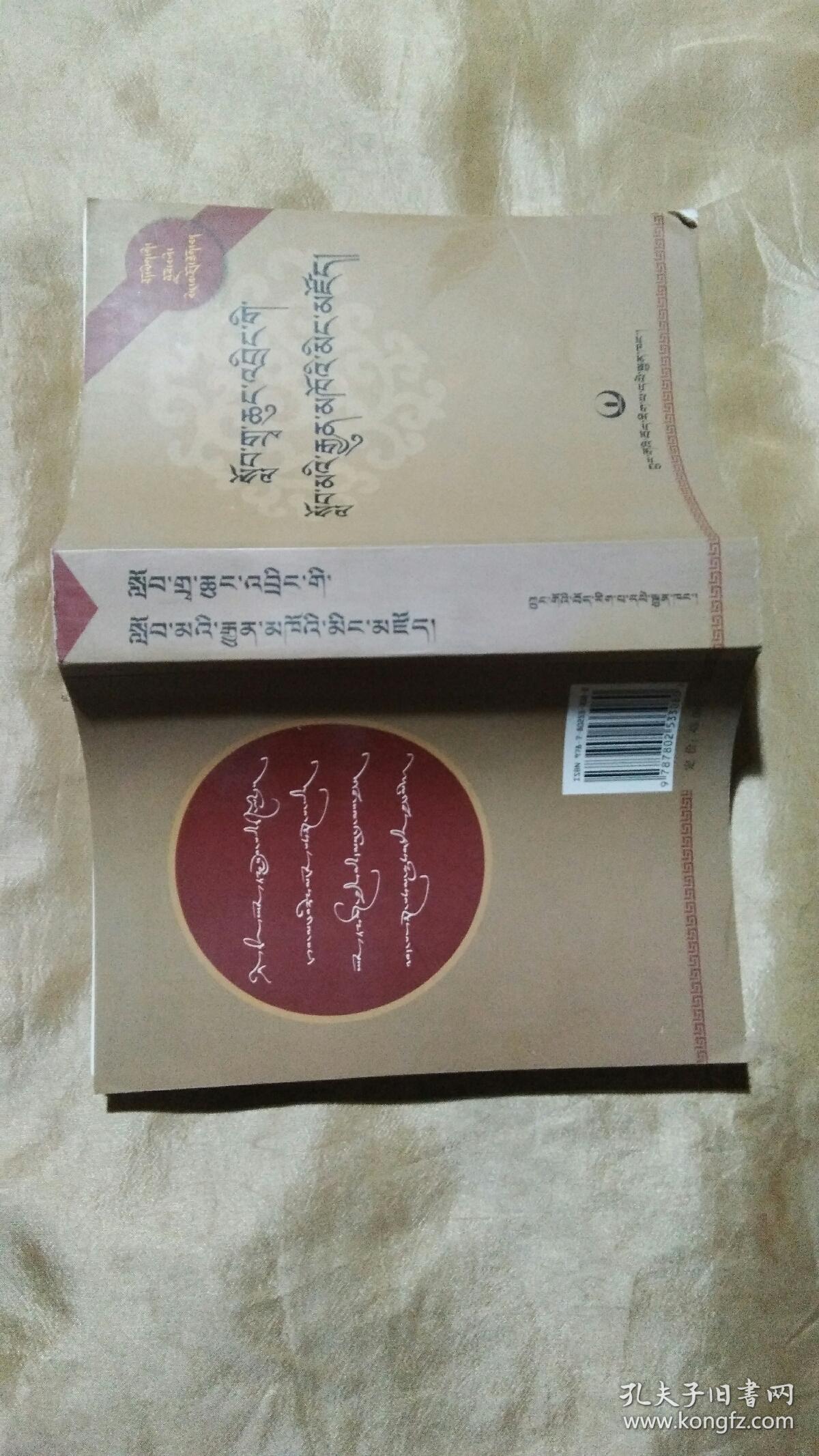 中小学藏语词典