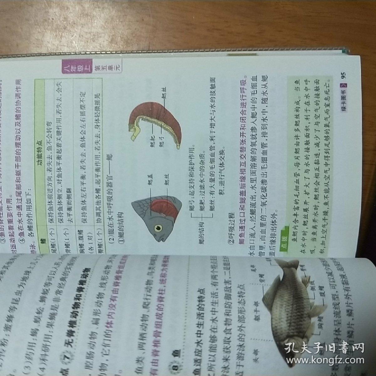 图解速记:初中地理生物(全彩版 2016年第3次修订)