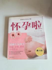 好妈妈完美育儿手册——怀孕啦