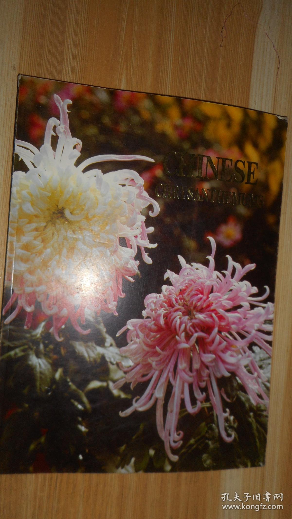 菊花(英文版)一版一印