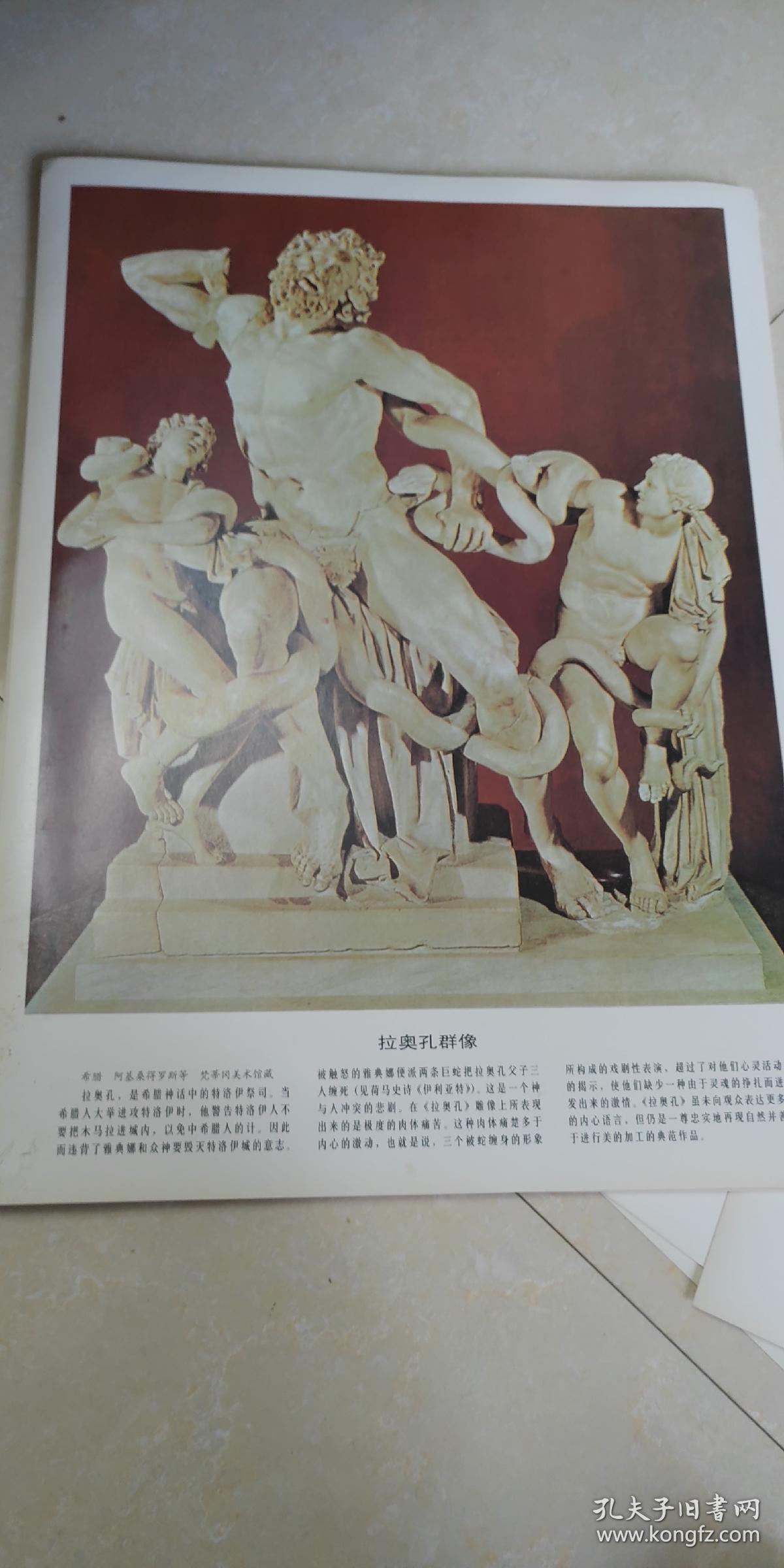 美术教学挂图22张,胜利女神,掷铁饼者,维纳斯像,拉奥