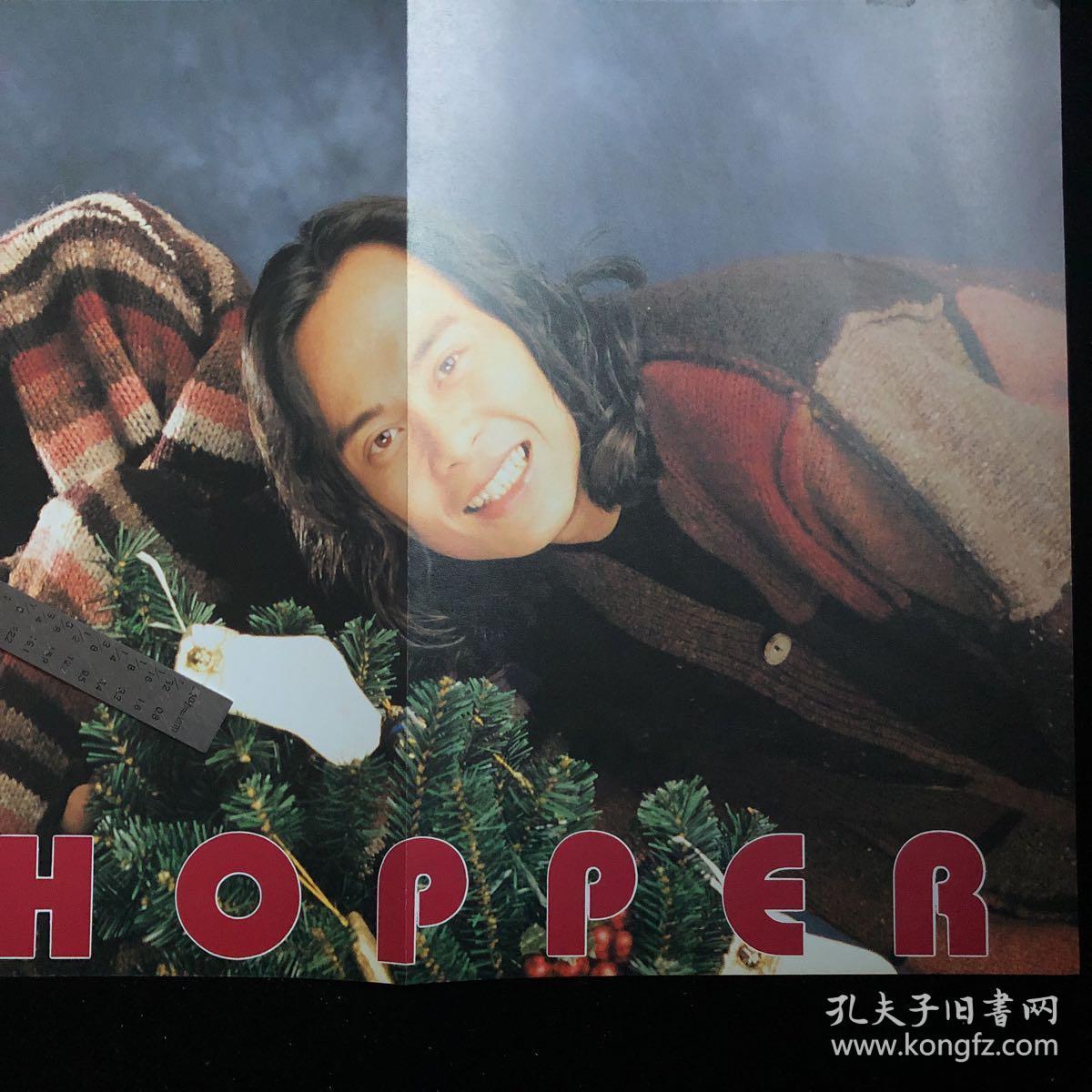 草蜢彩页超大,草蜢海报