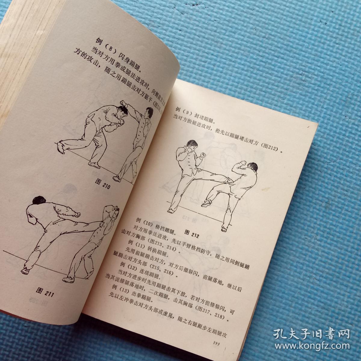 中国散手【人民体育出版社】