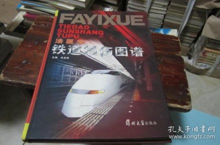 法医 学铁道损伤 图谱【开口处有点水印,可以阅读】