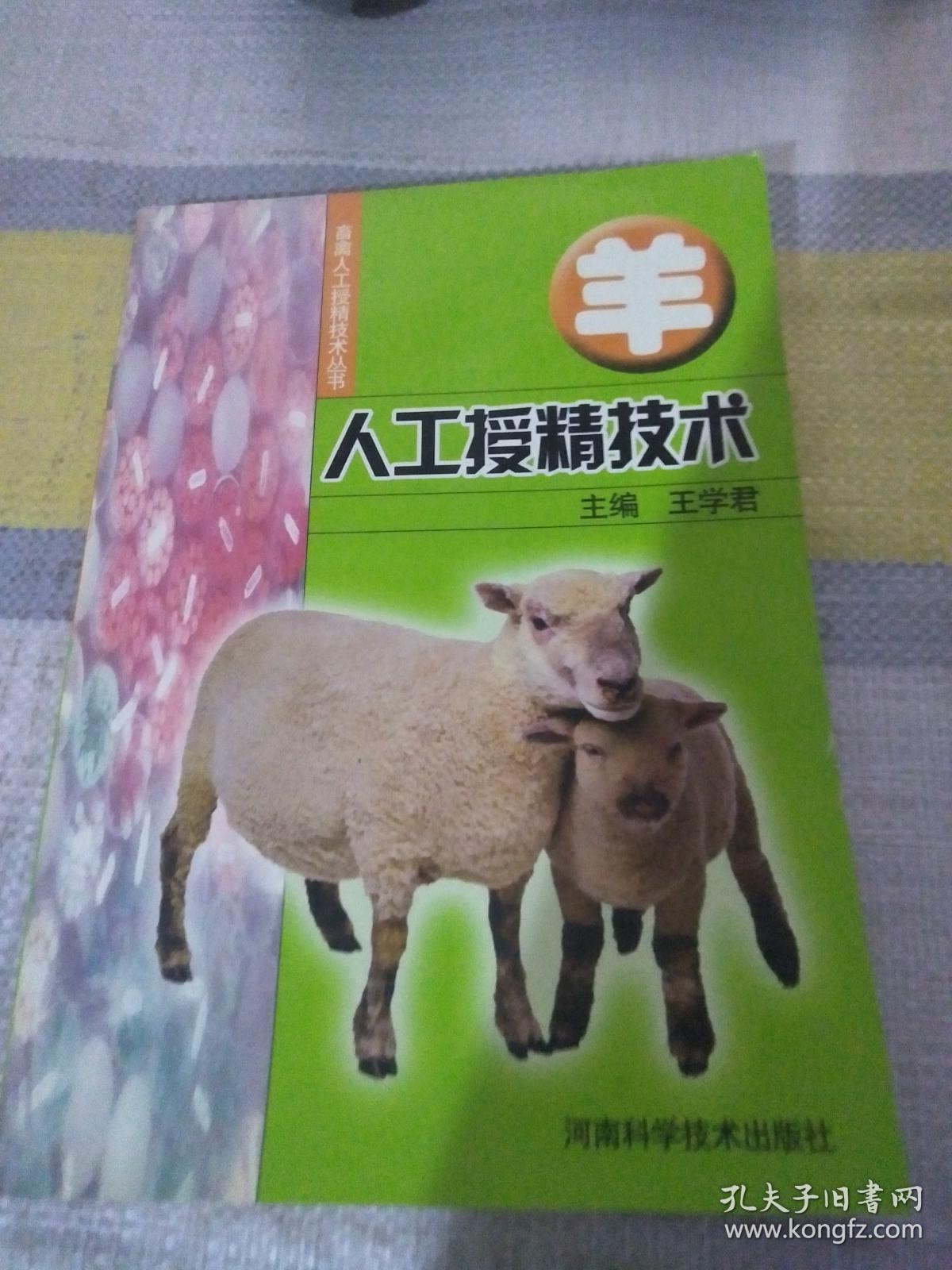 羊人工授精技术