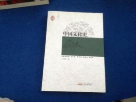 传世经典文库：中国文化史