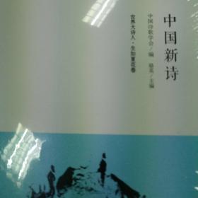 中国新诗第十三卷