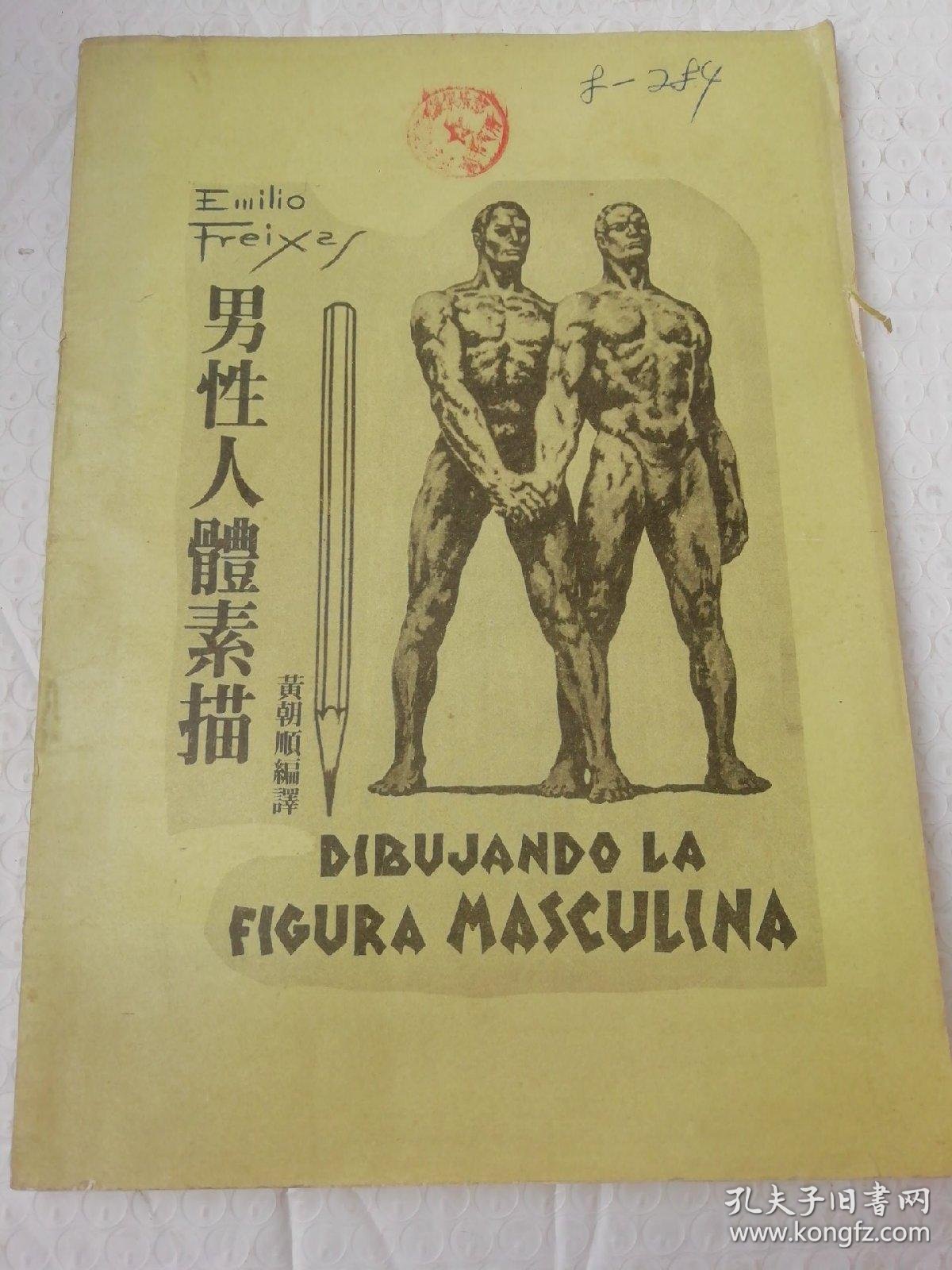 男性人体素描