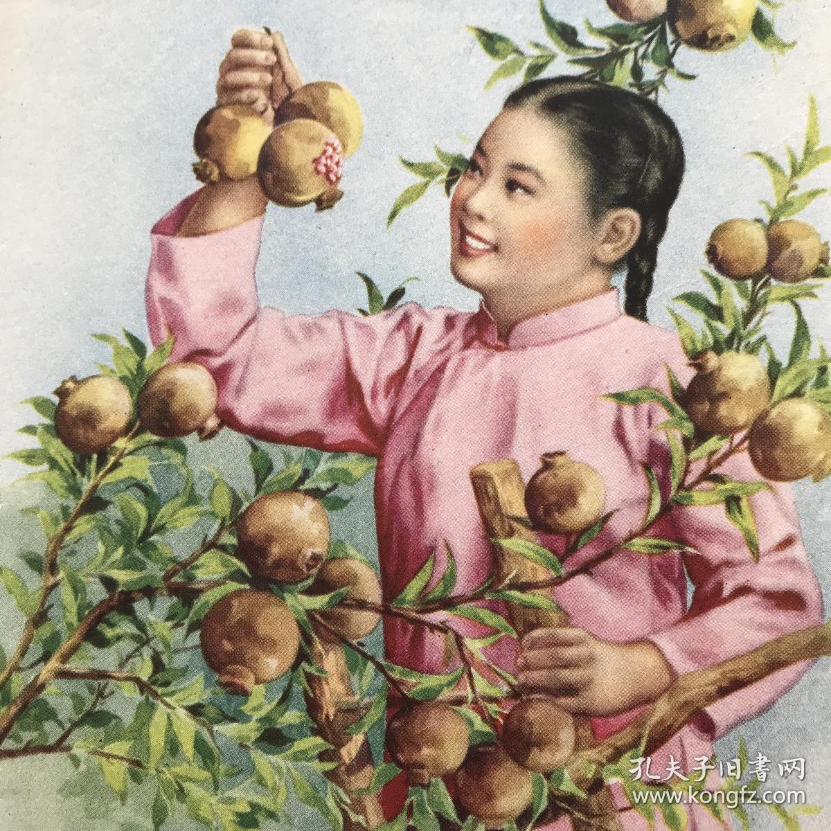 年画石榴16开金雪尘绘上海画片出版社1955年1版2印