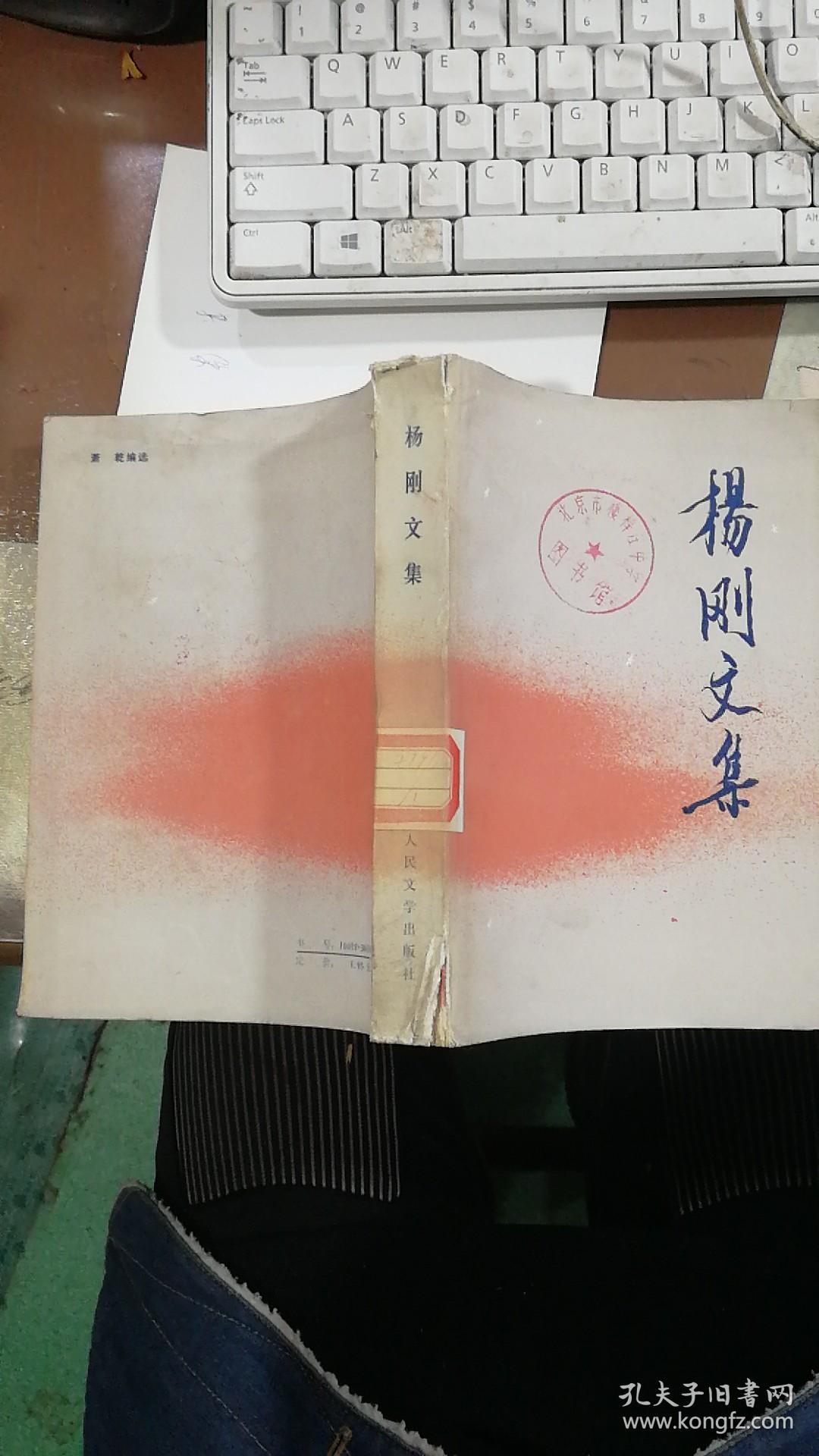 杨刚文集(书脊轻微小伤 不影响使用)