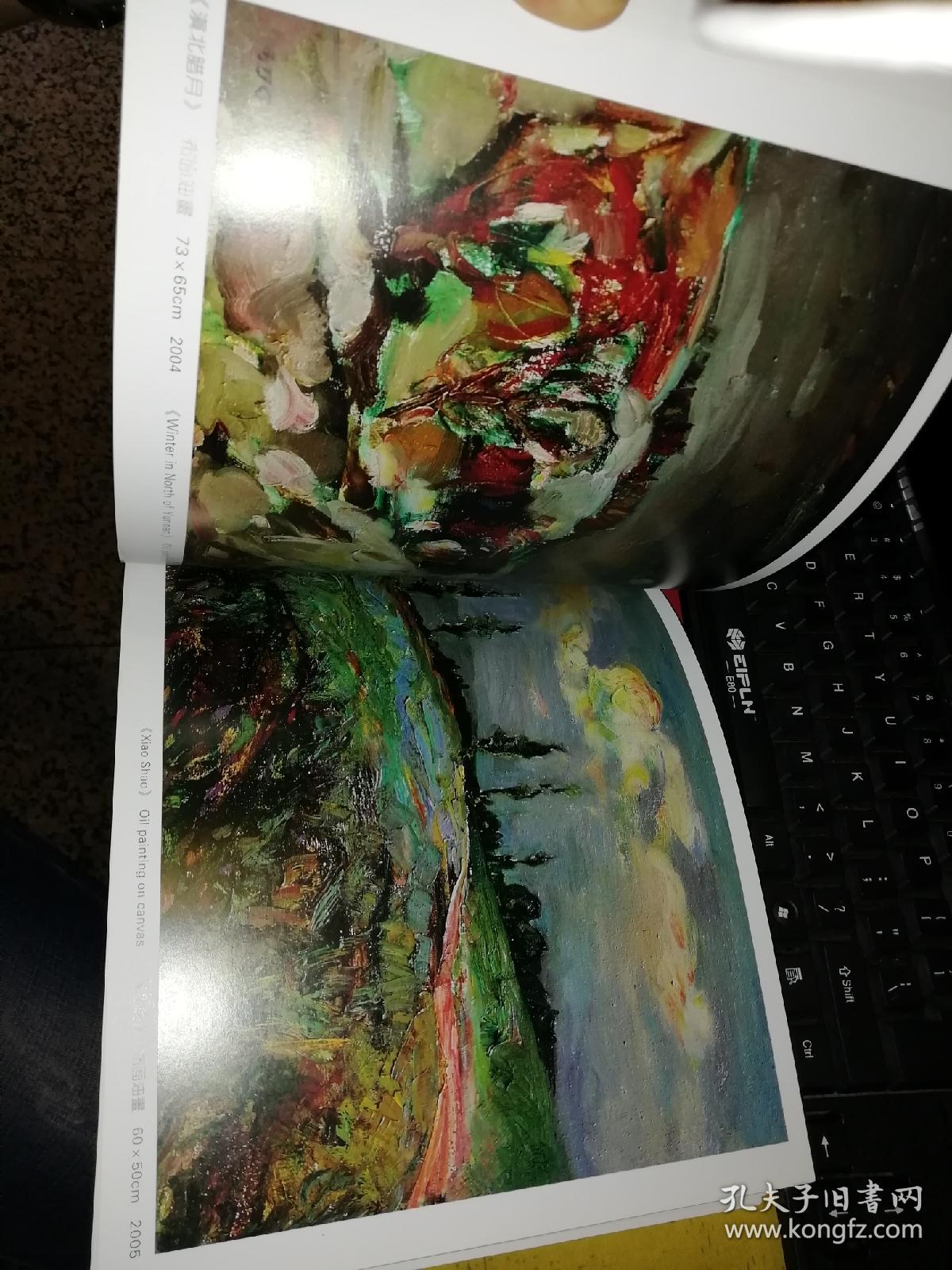 罗建华 画册 编入画家的大量油画作品【全铜版纸彩色精美印刷】 云南