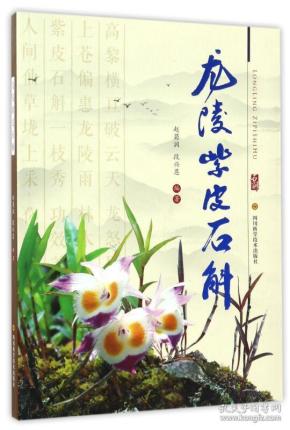 紫皮石斛种植技术