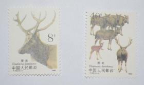 1988 T132 麋鹿 (有齿)   邮票