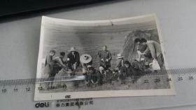 1950年代，安徽农村农田里，社员涂擦70%松香松节油防护庄稼的老照片
