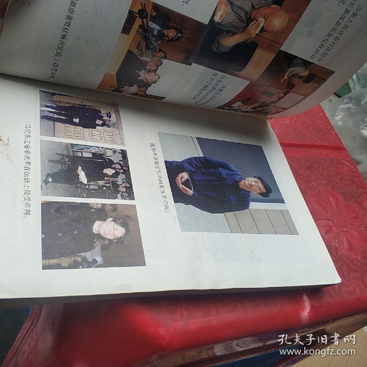 沈阳"慕绥新,马向东"案查处纪实