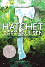 Hatchet 斧头 图书