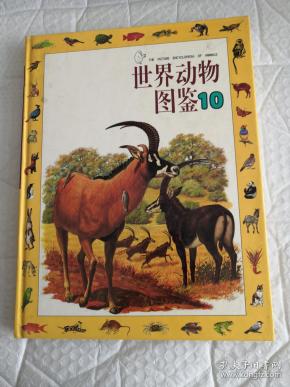 [世界动物图鉴 海豚] 图书价格_书籍图片_网购评论_孔夫子旧书网