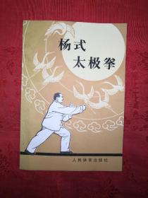 名家经典：杨式太极拳（1963年版）