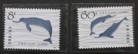 T57 白暨豚邮票