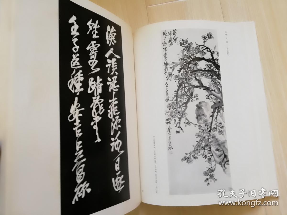 呉昌硕の画と賛 青山杉雨 二玄社 日本日文原版美术 一九七六年再版