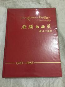 欢腾的西藏1965-1985
