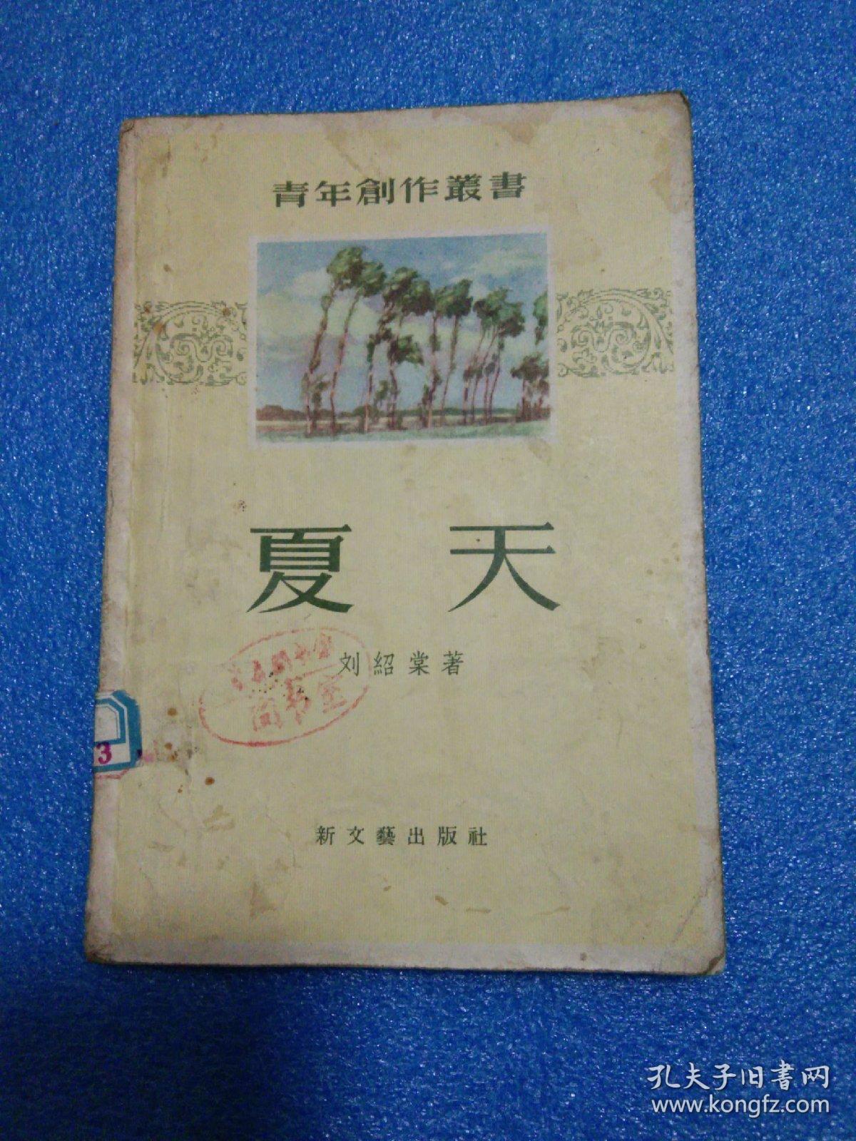 青年创作丛书 夏天