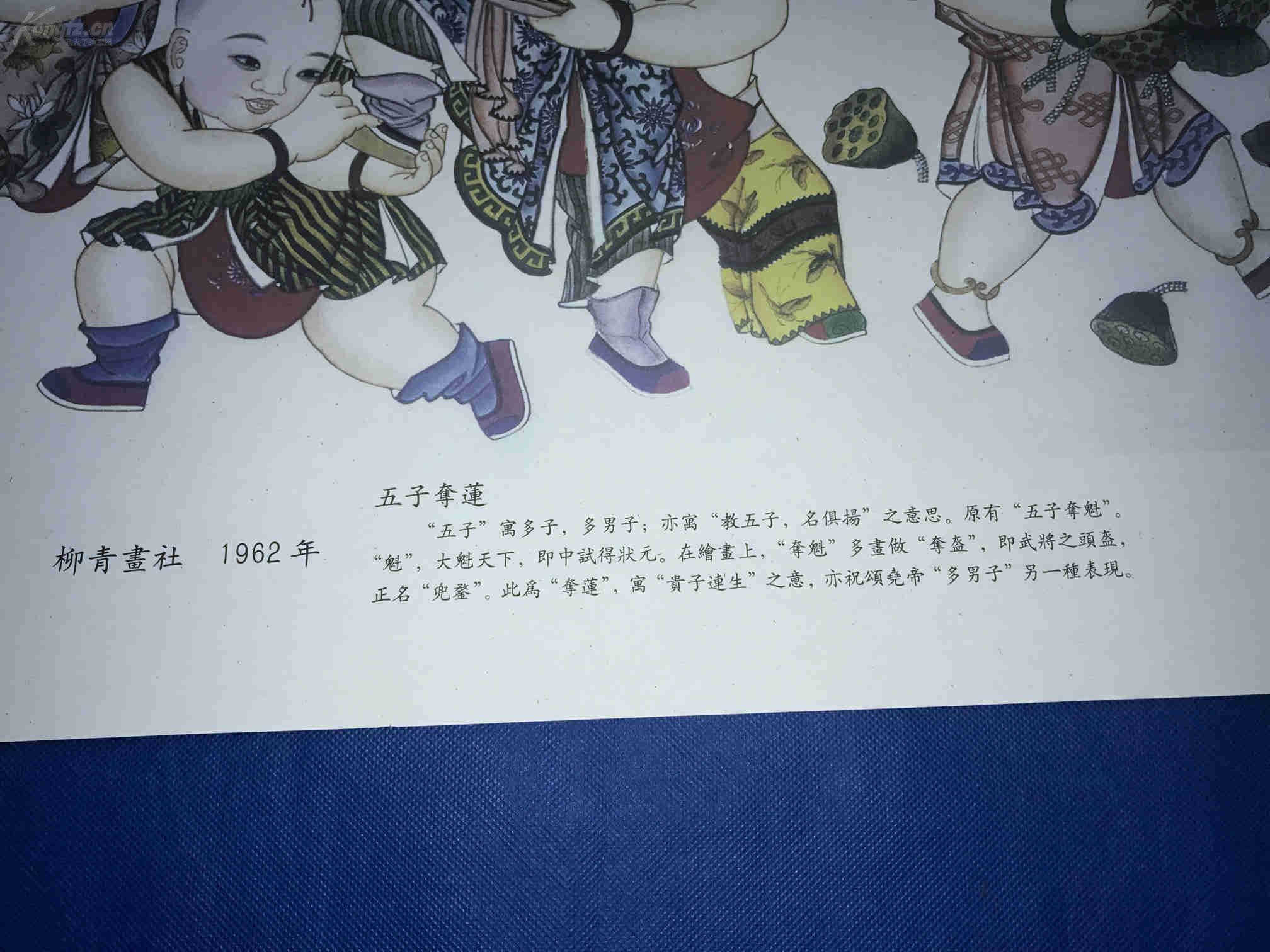 杨柳青画社 1962年【五子夺莲】年画 寓意 贵子连生 长54厘米 宽39