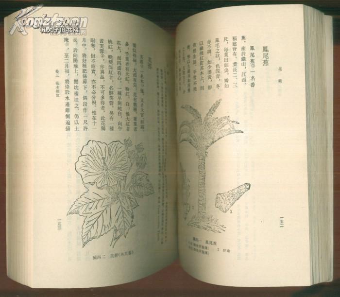 花镜【园艺专著[清 陈昊子通过向花农,花友调查访问,并结合对