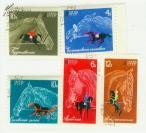 苏联邮票1968年养马业和马术运动5全编号3598