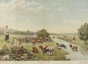 1954年 辽宁人民出版社出版 著名画家林茂雄作《社里的牛群》年画一幅 （尺寸：52*76.5cm） HXTX118082