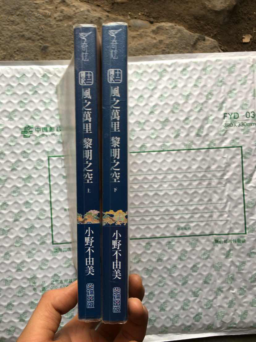 风之万里黎明之空 十二国记(上下)