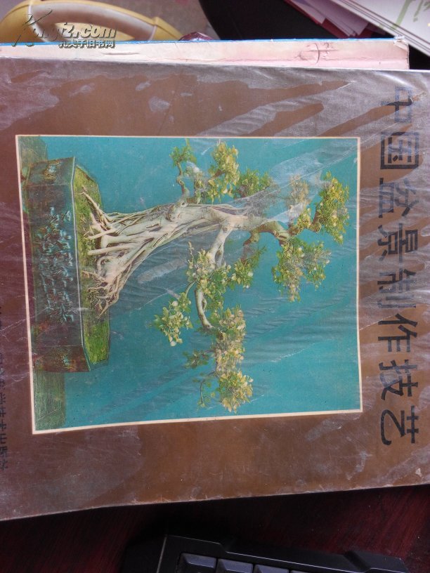 中国盆景制作技艺——封皮的塑料膜有开口