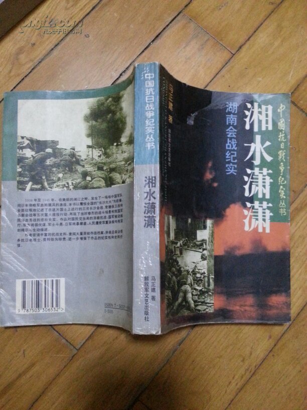 湘水潇潇----湖南会战纪实