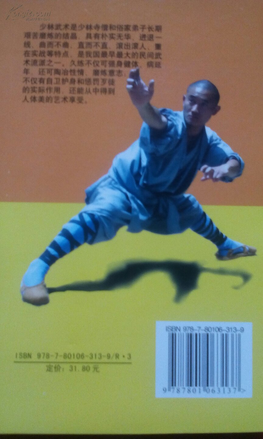 《少林武术套路实战精华》