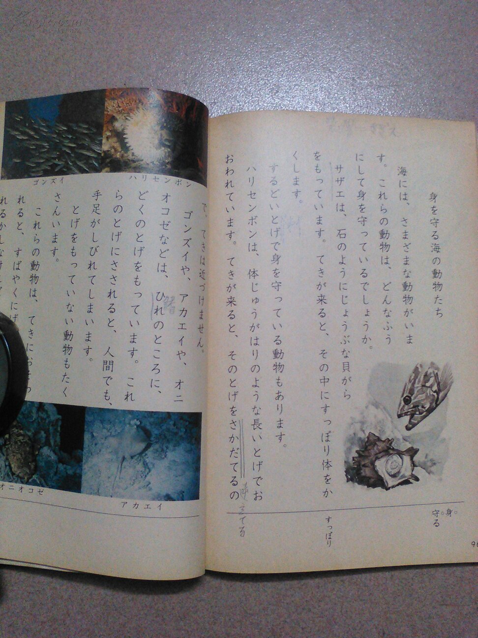 小学国语(3上)日本课本