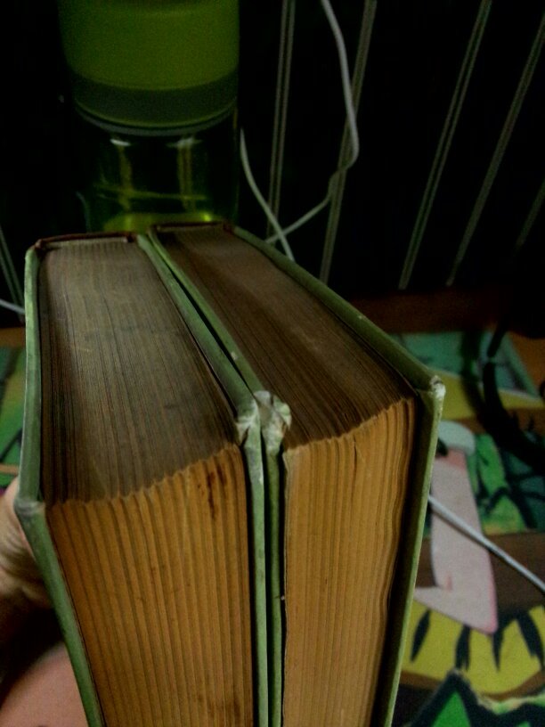 绿衣亨利(上下)网格本,精装,包邮