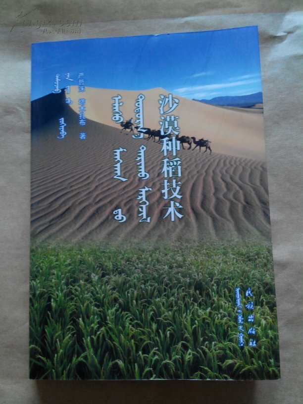 沙漠种稻技术:蒙、汉