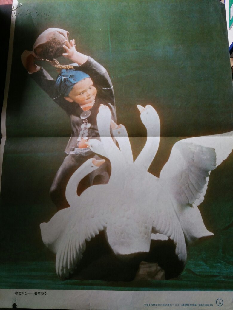 六年制小学课本语文第三册教学图片 颗粒归公-看图学文_天津彩塑工作