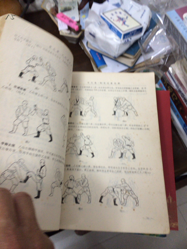 中国少林武术大全(下部)