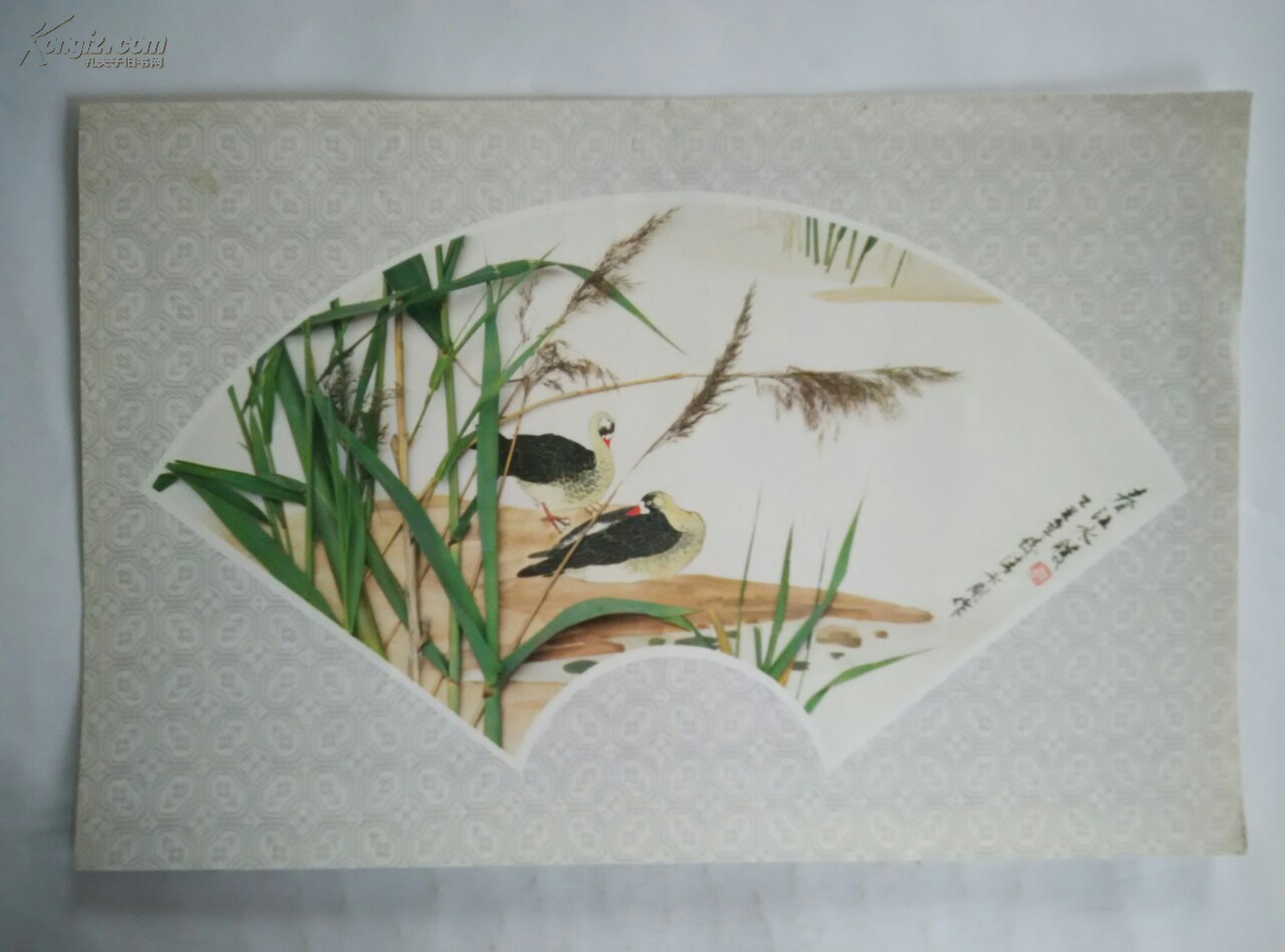 张永刚花鸟摄影扇面作品集(10张)