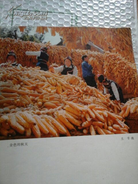 中国摄影 1975年第1期