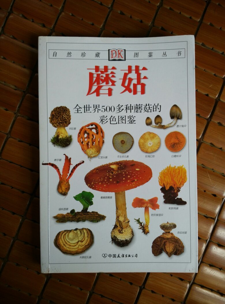 蘑菇:全世界500多种蘑菇的彩色图鉴