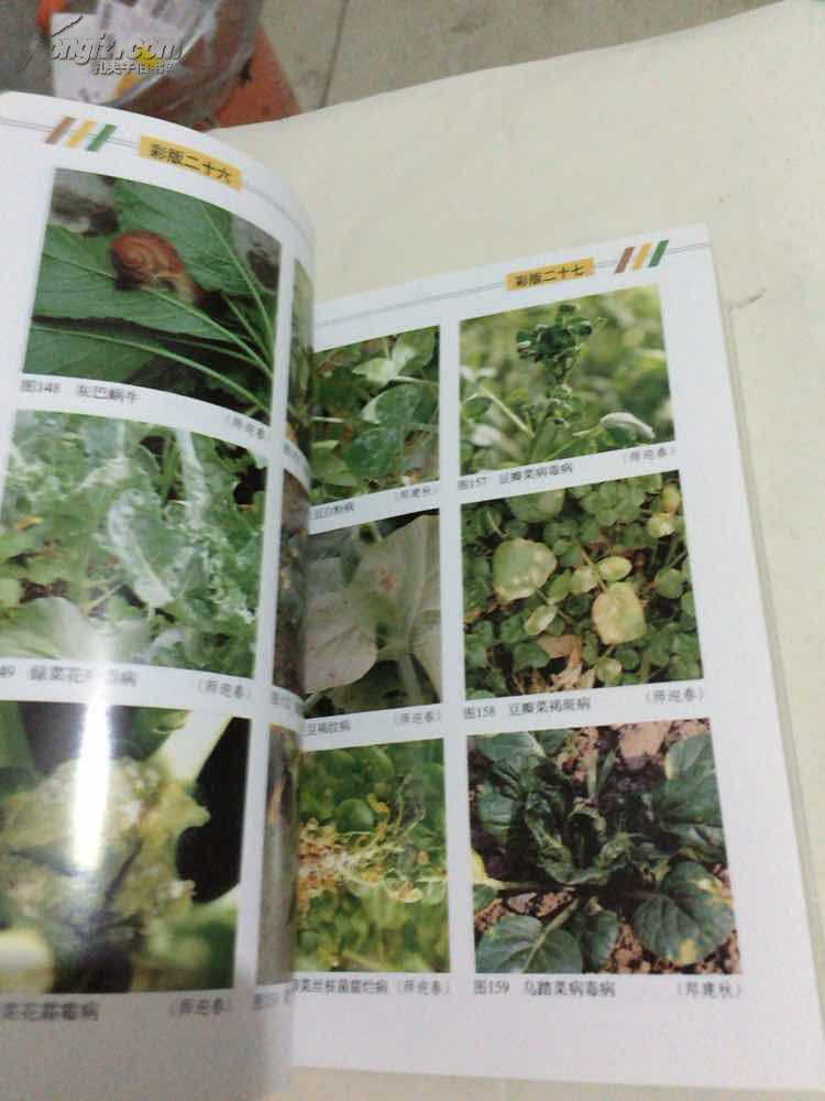 植物医生实用手册