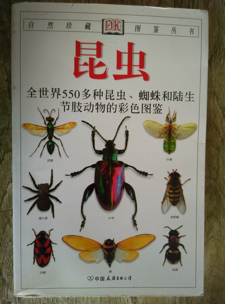 自然珍藏图鉴丛书:昆虫
