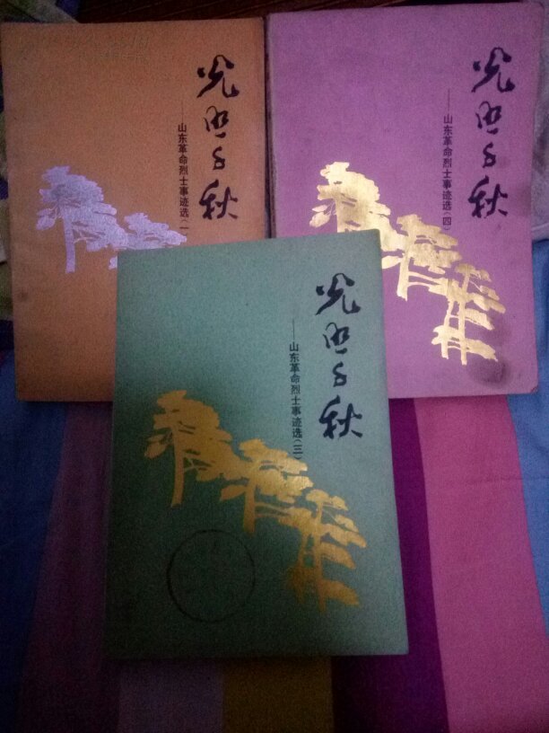 光照千秋【淄博革命烈士事迹第一三四册】