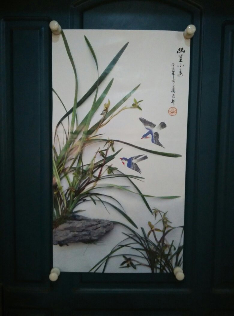 张永刚花鸟摄影作品集10张